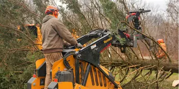 Land Clearing and Property Preparation