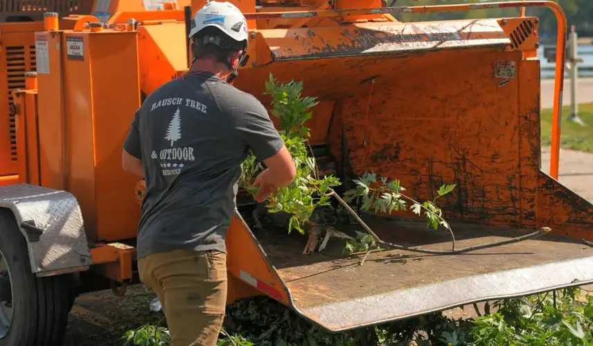 Worker feeding branches into chipper for shrub removal and care.