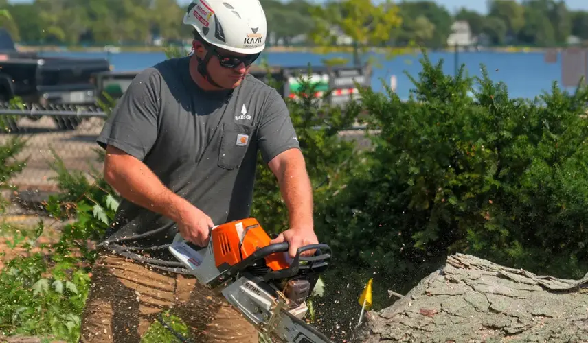 Tree removal worker cutting a large log with a chainsaw.