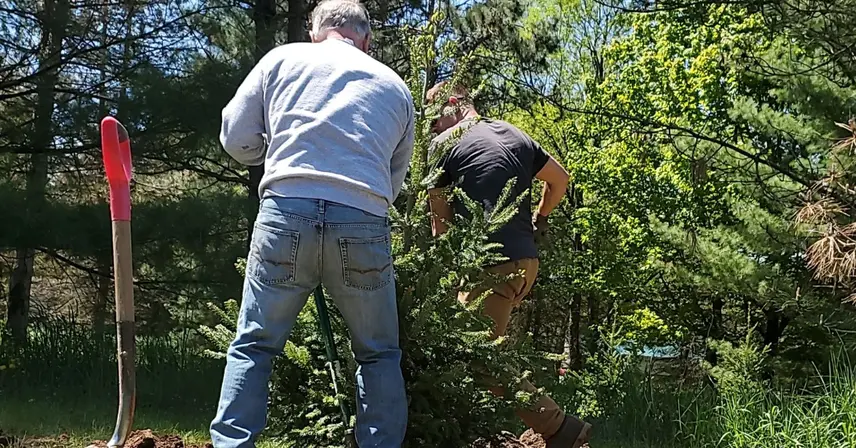 Professional Shrub Trimming & Removal in Southeastern WI