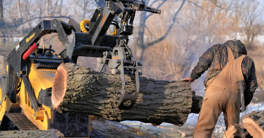 Emergency Tree Removal in Southeastern Wisconsin
