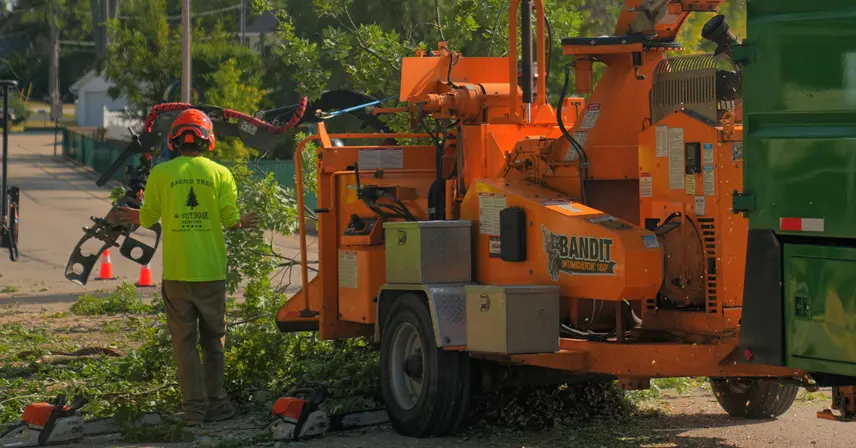 Tree Debris Removal in Southeastern Wisconsin