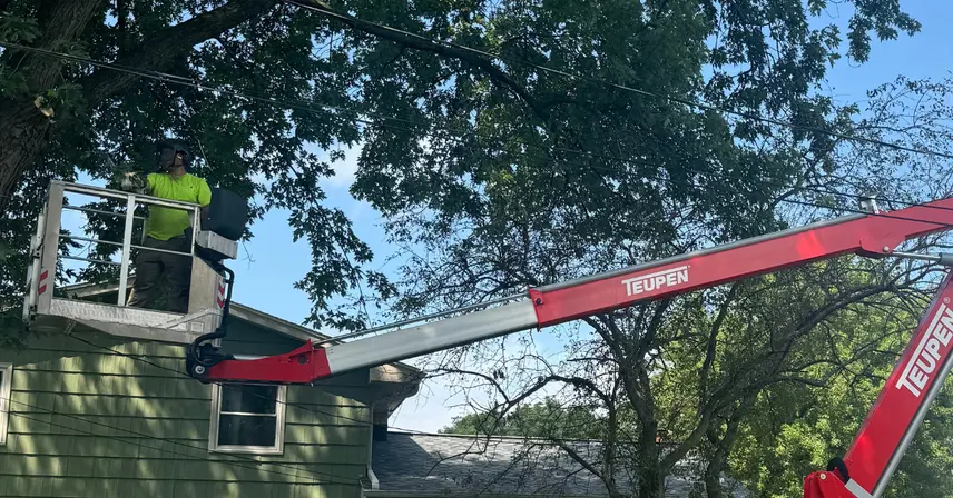 Precision Tree Pruning: Enhancing Tree Health & Safety in Southeastern WI