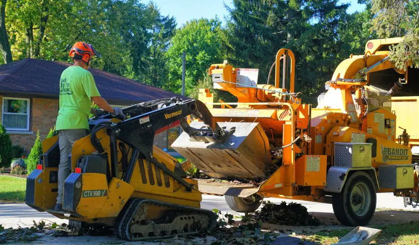 Signs You Need Professional Tree Debris Removal